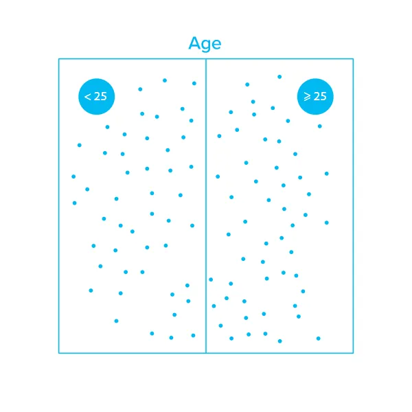 Manual customer segmentation