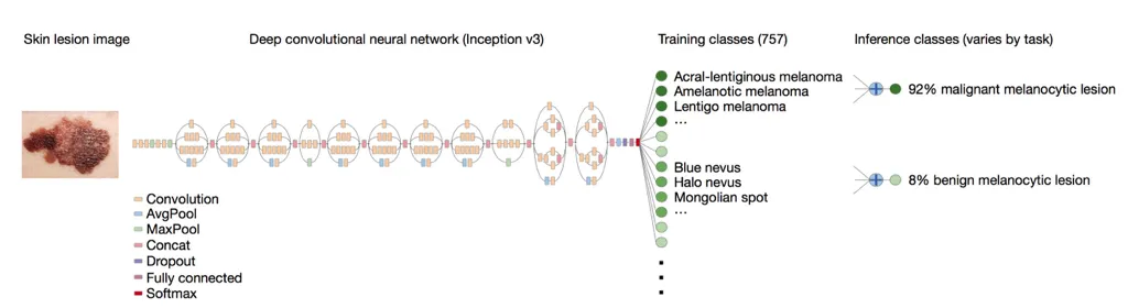 Andrea Esteva et al., [Dermatologist-level classification of skin cancer with deep neural networks](https://cs.stanford.edu/people/esteva/nature/) (2017)