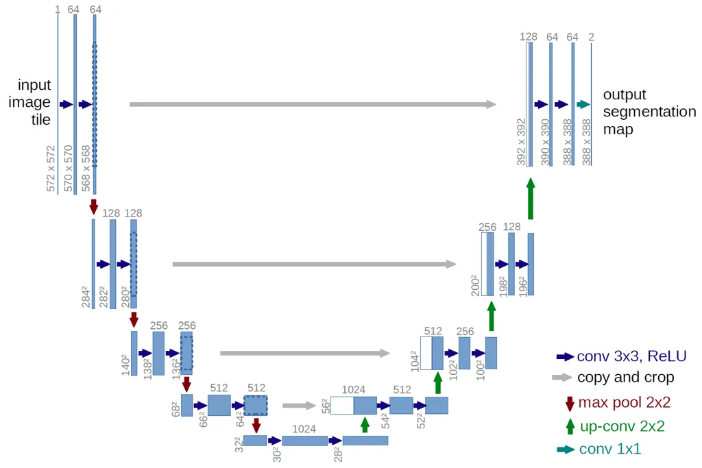 Olaf Ronneberger, Philipp Fischer, Thomas Brox, [U-Net: Convolutional Networks for Biomedical Image Segmentation](https://lmb.informatik.uni-freiburg.de/people/ronneber/u-net/) (2015)