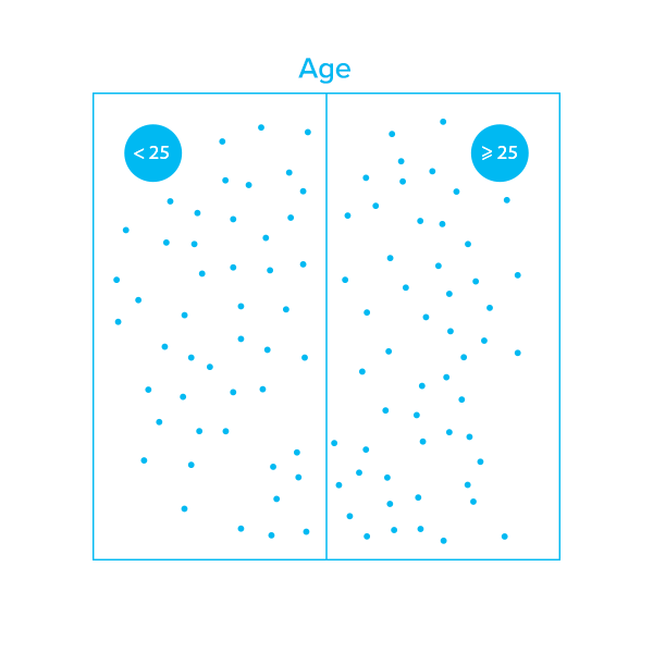 Manual customer segmentation